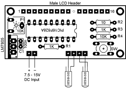 DS18S20 Dual Temperature Meter